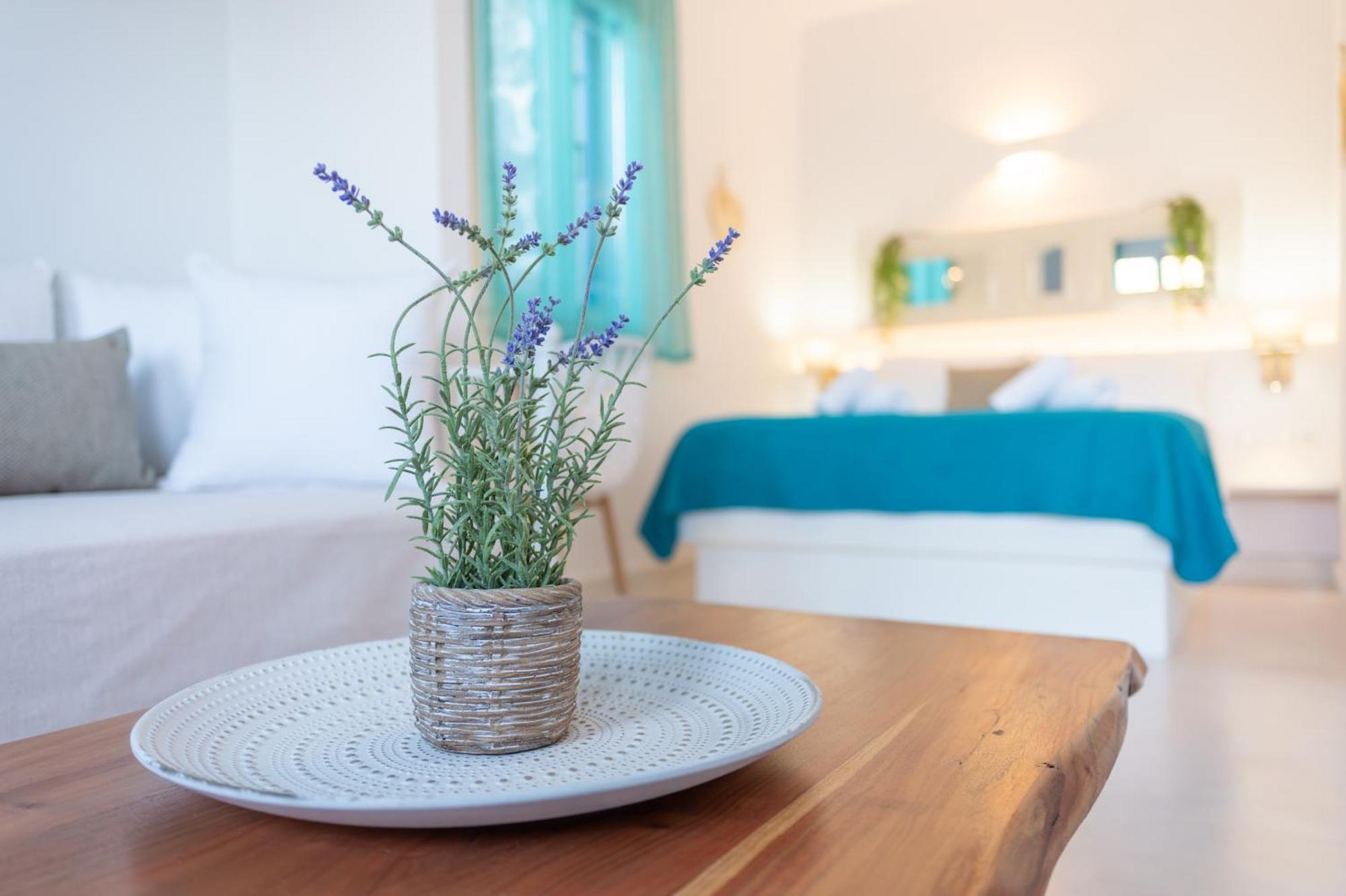 Eleftheria's Place Apartment